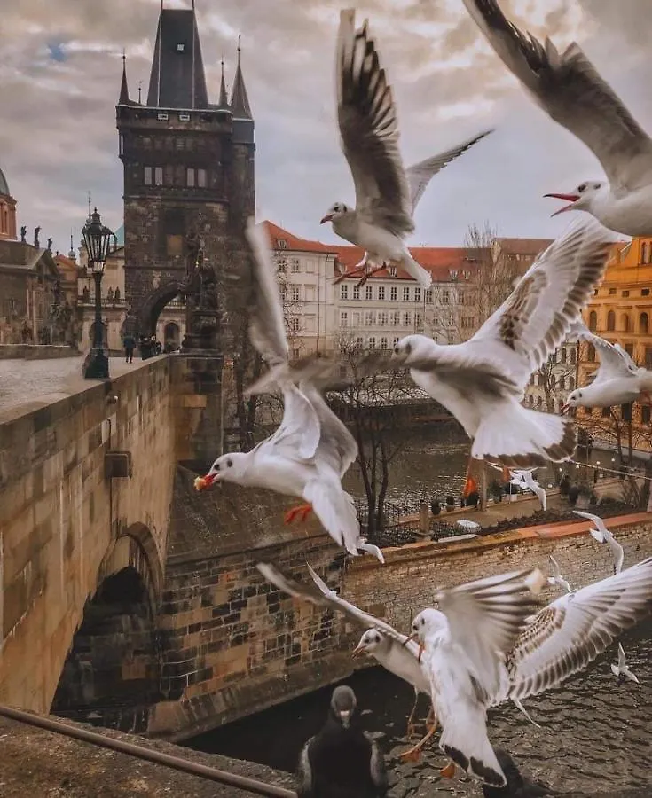 Lena Apartment Praga 0*,
